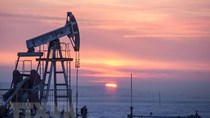 Thách thức ngày càng lớn, OPEC tiếp tục hạ dự báo nhu cầu dầu mỏ