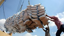 Thị trường nông sản tuần qua: Giá gạo tăng trở lại