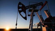 Giá dầu thế giới giảm hơn 4 USD/thùng