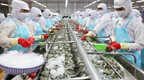 Danh sách các doanh nghiệp Algeria nhập khẩu thủy hải sản