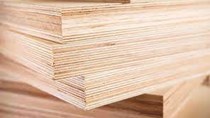 Đối tác Singapore cần tìm nhà cung cấp pallet gỗ của Việt Nam