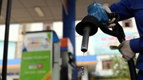 Giá xăng dầu hôm nay ngày 21/8/2023: Xăng tăng từ 517- 608 đồng/lít; dầu diesel giảm nhẹ
