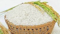 Thúc đẩy hoạt động xuất khẩu gạo của Việt Nam vào Trung Quốc 