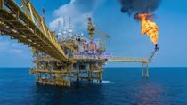 Giá dầu thế giới tăng do triển vọng dự báo từ IEA