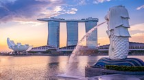 Kim ngạch xuất khẩu sang Singapore 5 tháng đầu năm 2024 tăng trưởng 