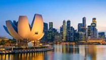 Kim ngạch xuất khẩu sang Singapore 8 tháng đầu năm 2024 tăng trưởng