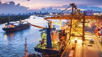 Kim ngạch nhập khẩu từ Canada 3 tháng đầu năm 2025 tăng 21,6%