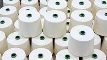 Doanh nghiệp Đài Loan tìm nhà cung cấp sợi cotton