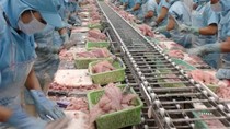 Kiểm tra chặt thủy sản nhập khẩu từ Đài Loan