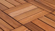 Doanh nghiệp Đức cần tìm DN  khai thác gỗ 