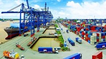 Xuất khẩu sang EAEU: Mở hướng tiếp cận cho doanh nghiệp Việt