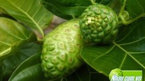 Hàn Quốc tìm kiếm công ty sản xuất các sản phẩm bánh quy, thực phẩm chế biến 