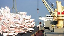 Xuất khẩu gạo quí I/2016 tăng cả về lượng và kim ngạch