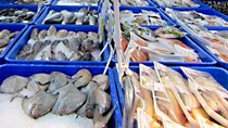 Ủy ban châu Âu lo ngại nhập khẩu thủy sản từ Trung Quốc trì trệ 5 năm liên tiếp
