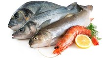   Quảng Bình: Tàu đánh bắt xa bờ đã tiêu thụ được toàn bộ sản phẩm
