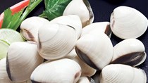 Quý 1/2016, xuất khẩu nhuyễn thể hai mảnh vỏ khả quan
