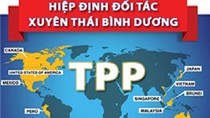 Việt Nam sẽ đạt lợi ích lớn và “cốt lõi” khi tham gia TPP
