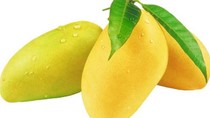 Australia xem xét cho nhập khẩu thanh long Việt Nam