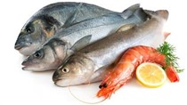 Ngân hàng miễn lãi suất giúp ngư dân thu mua, tạm trữ hải sản