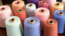 Công ty Hồng Công muốn tìm nhà cung cấp sợi cotton