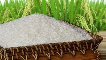 Giá gạo Việt Nam giảm khi vào vụ thu hoạch mùa