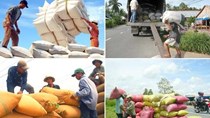 Xuất khẩu gạo 6 tháng cuối năm: Khó về đích