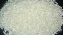 Giá gạo tại một số tỉnh tuần đến 22/10/2016