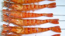 Giá thủy sản tại một số tỉnh tuần đến 28/10/2016