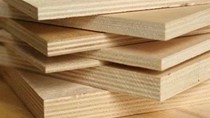 Thổ Nhĩ Kỳ điều tra chống bán phá giá với gỗ dán nhập khẩu từ Việt Nam
