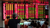 Chứng khoán chiều 9/11: nhiều nhà đầu tư bắt đáy, hãm bớt đà giảm