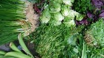 Đông Nam bộ: Mưa nhiều, rau xanh tăng giá mạnh