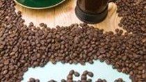 Xuất khẩu cà phê 10 tháng đầu năm tăng manh