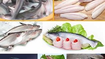 Giá thủy sản tại một số tỉnh tuần đến 10/12/2016