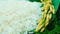 Giá gạo tại một số tỉnh tuần đến 10/12/2016