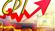 CPI tháng Tết Đinh Dậu dự báo tăng nhẹ