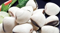 Na Uy: Doanh thu thủy sản có vỏ tăng 10% năm 2016