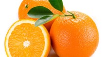 Cơ hội cho trái cam Việt Nam tiếp cận thị trường Indonesia