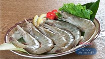 Lệnh cấm nhập tôm của Úc gây thiệt hại nghiêm trọng cho doanh nghiệp Việt Nam