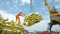 Thực hiện nhiều giải pháp tháo gỡ khó khăn thị trường xuất khẩu gạo