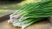 Một doanh nghiệp Hàn Quốc cần nhập khẩu hành hoa (welsh onion)