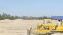 Tạm dừng cấp phép mới các dự án tận thu cát nhiễm mặn