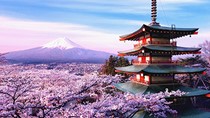 Xuất khẩu sang Nhật quí I/2017 tăng ở hầu hết các nhóm hàng