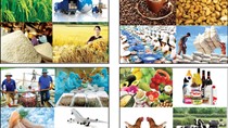 Infographics: Cơ cấu hàng hóa xuất khẩu, nhập khẩu 4 tháng năm 2017