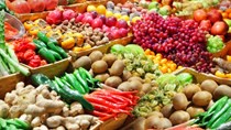 Xuất khẩu rau quả tăng trưởng ở hầu hết các thị trường