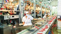 TP. Hồ Chí Minh: Các ngành công nghiệp trọng yếu tăng trưởng ổn định