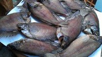 Ngành hàng cá bổi ở Cà Mau gặp khó