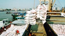 Kết quả đợt đấu thầu nhập khẩu 250.000 tấn gạo của Philippines