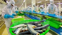 Xuất khẩu cá tra của Việt Nam đi Mỹ gặp khó