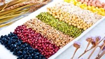 Kim ngạch xuất khẩu nhiều mặt hàng nông sản tăng kỷ lục