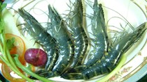 Giá tôm nguyên liệu tại đồng bằng sông Cửu Long tăng trở lại